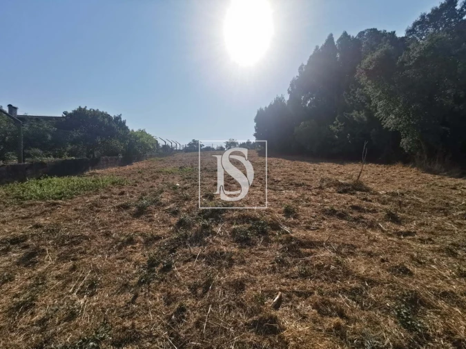 Terreno para Venda em Arcos e Mogofores Foto 10