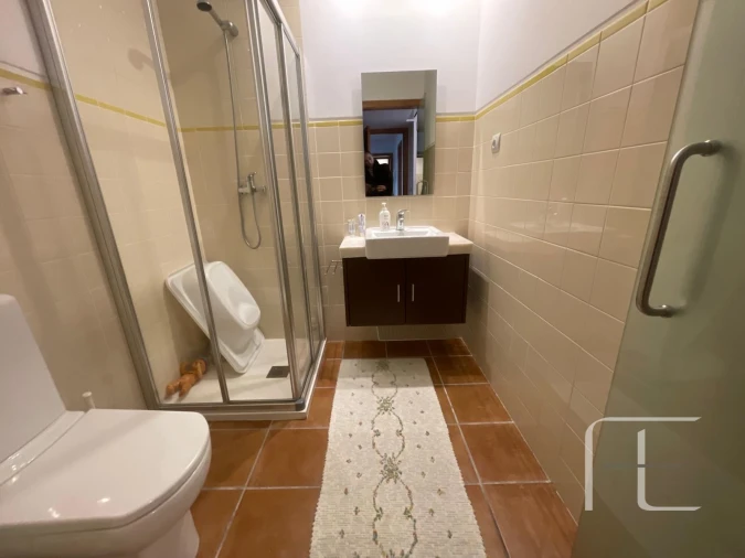 Moradia T3 para Venda em Anreade e São Romão de Aregos Foto 19