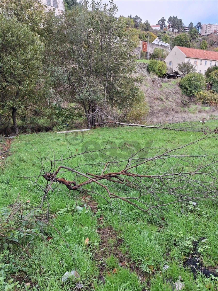 Negócio para Venda em Covilhã e Canhoso Foto 6