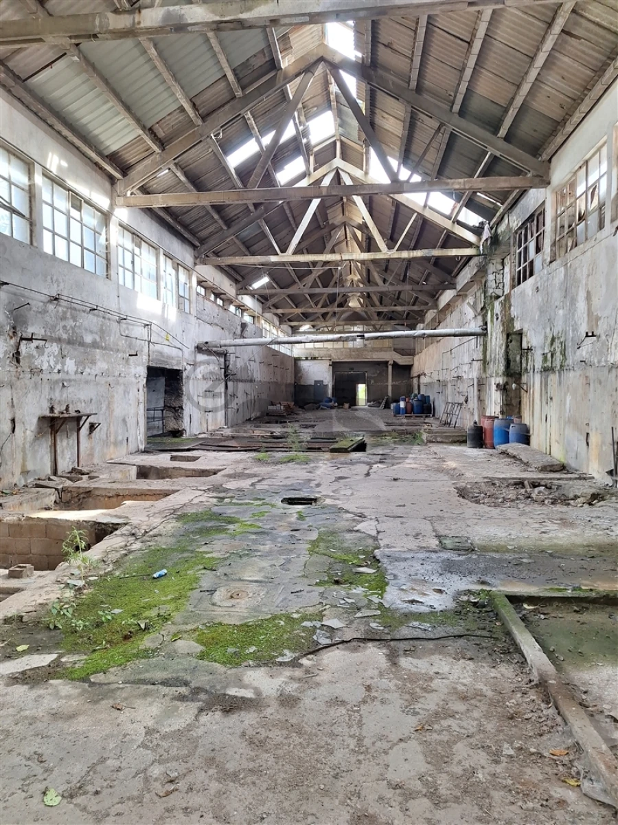 Negócio para Venda em Covilhã e Canhoso Foto 32