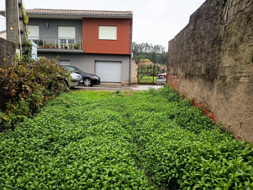 Terreno Agricola ou Rústico para Venda em Mortágua, Vale de Remígio, Cortegaça e Almaça Foto 5