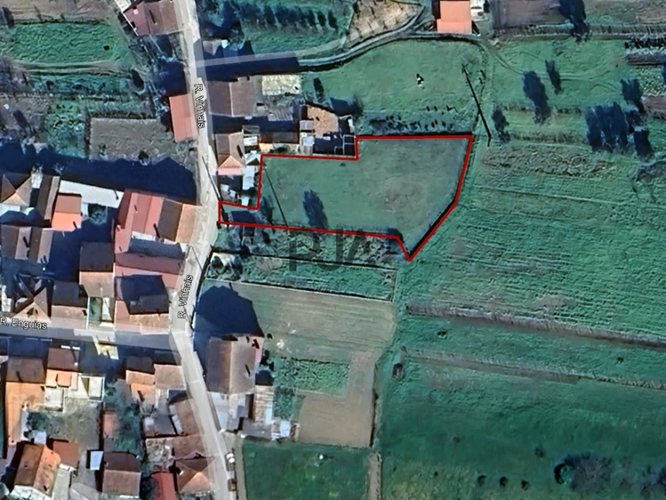 Terreno Agricola ou Rústico para Venda em Mortágua, Vale de Remígio, Cortegaça e Almaça Foto 7