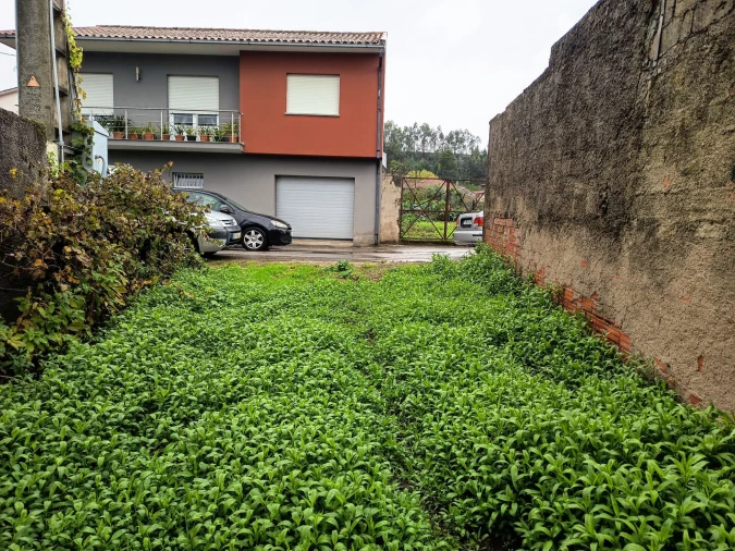 Terreno Agricola ou Rústico para Venda em Mortágua, Vale de Remígio, Cortegaça e Almaça Foto 5