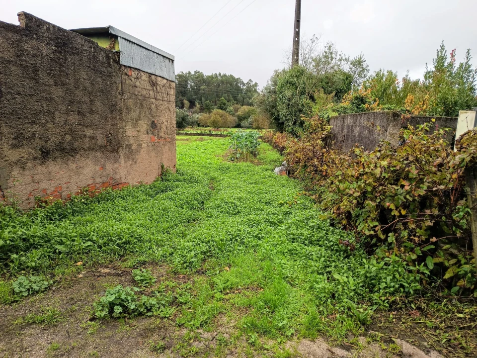 Terreno Agricola ou Rústico para Venda em Mortágua, Vale de Remígio, Cortegaça e Almaça Foto 4