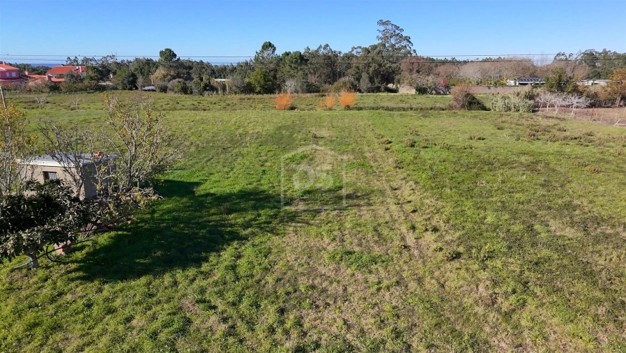 Terreno para Venda em Aljubarrota Foto 32
