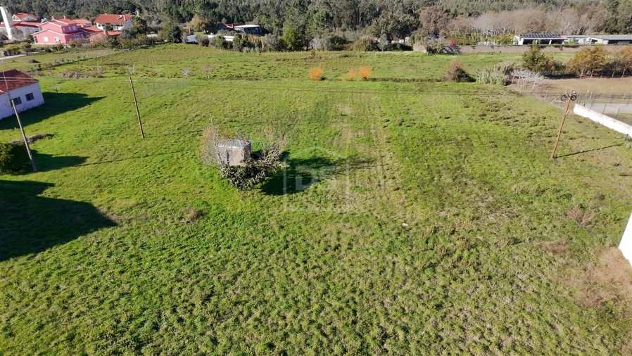 Terreno para Venda em Aljubarrota Foto 14
