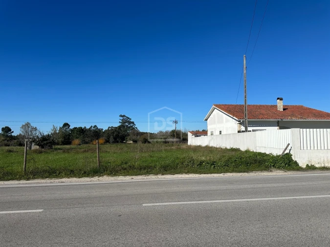 Terreno para Venda em Aljubarrota Foto 4