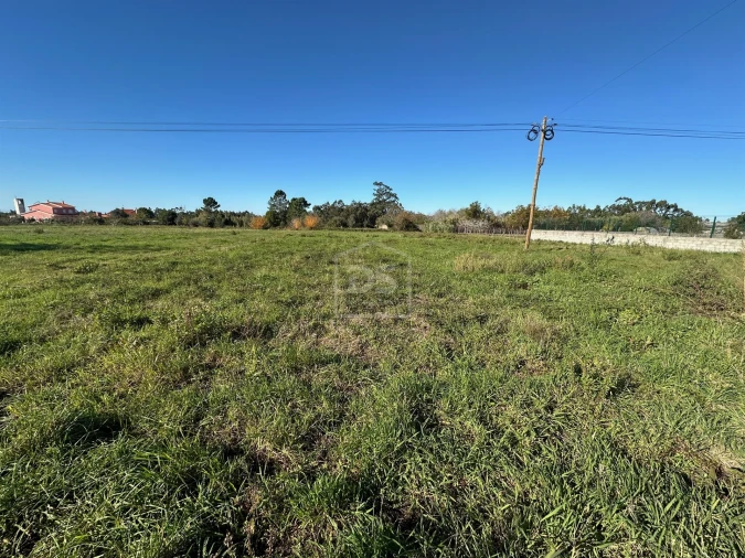 Terreno para Venda em Aljubarrota Foto 6