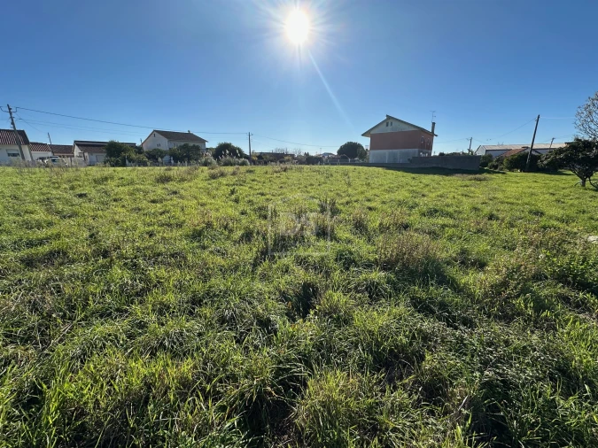 Terreno para Venda em Aljubarrota Foto 9