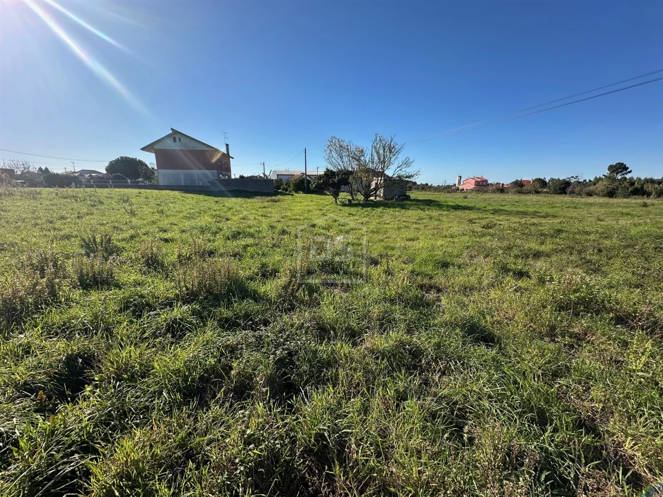 Terreno para Venda em Aljubarrota Foto 27