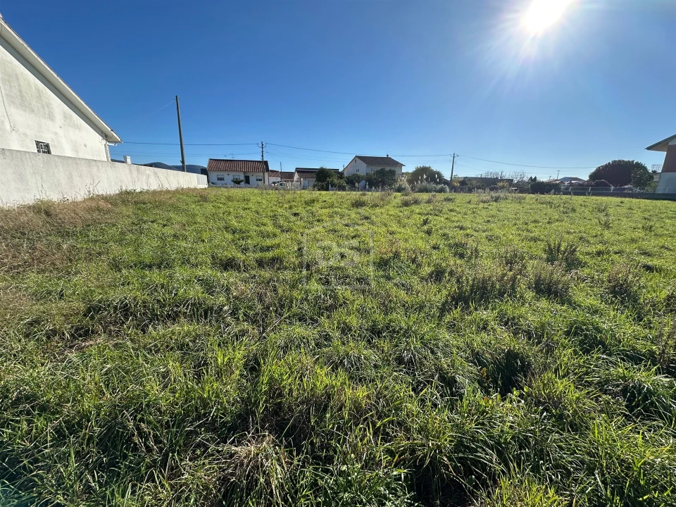 Terreno para Venda em Aljubarrota Foto 10