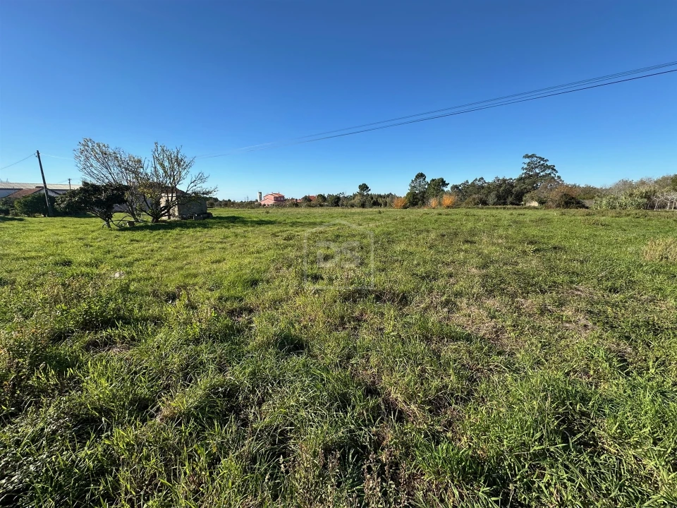 Terreno para Venda em Aljubarrota Foto 26