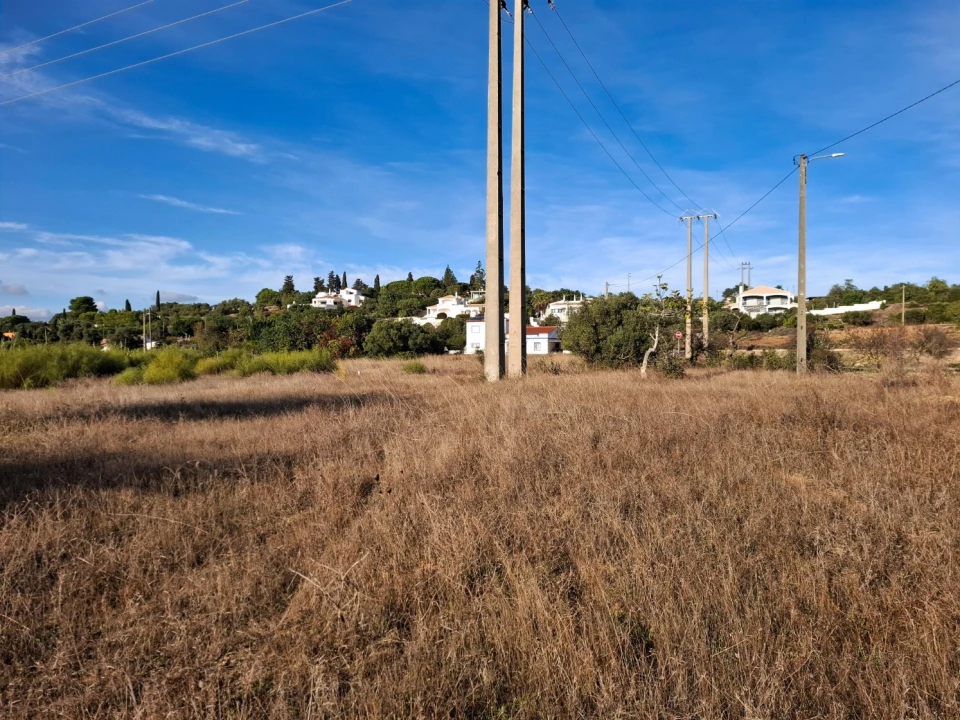 Terreno Agricola ou Rústico para Venda em Guia Foto 3