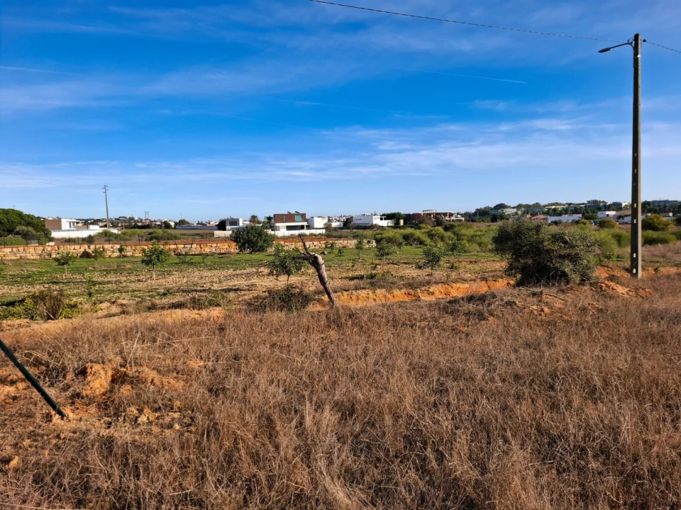 Terreno Agricola ou Rústico para Venda em Guia Foto 9