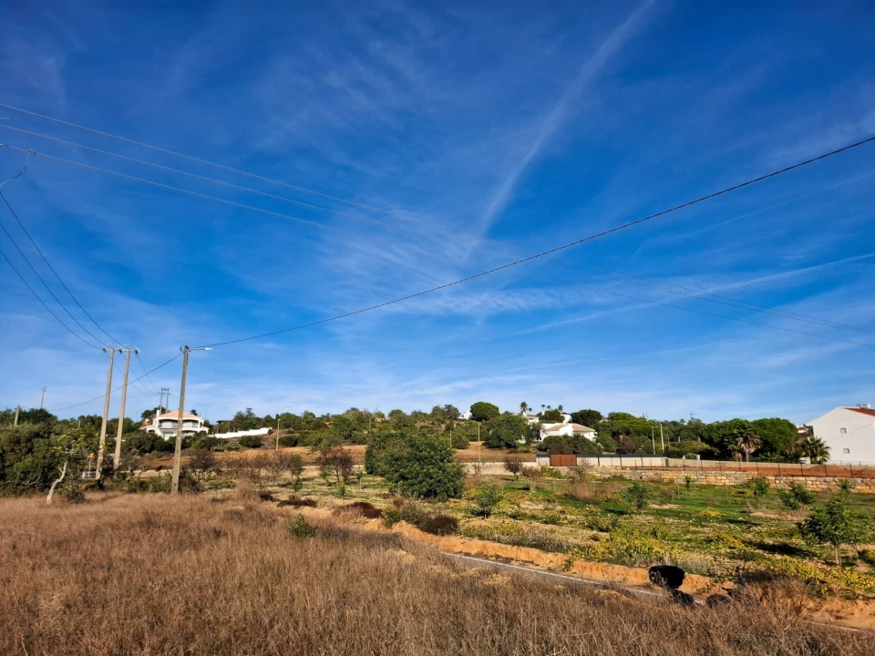 Terreno Agricola ou Rústico para Venda em Guia Foto 10