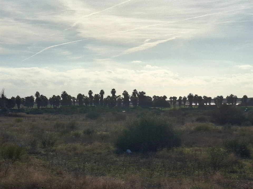 Terreno Agricola ou Rústico para Venda em Guia Foto 11