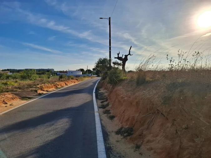 Terreno Agricola ou Rústico para Venda em Guia Foto 12