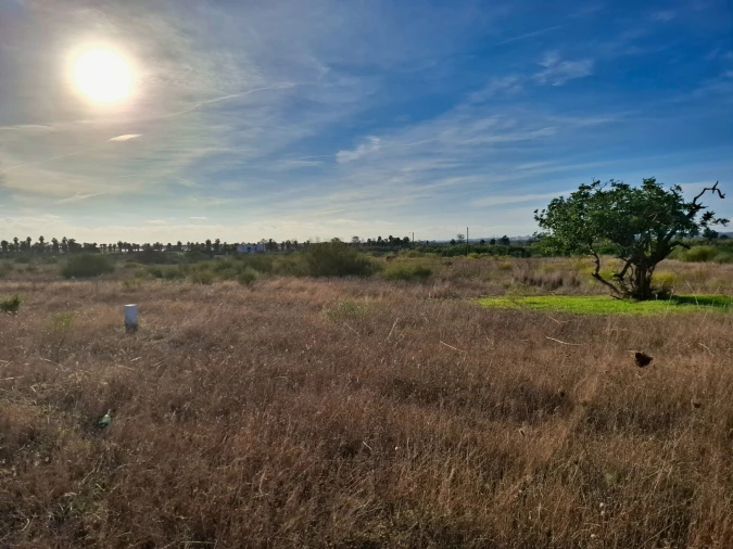 Terreno Agricola ou Rústico para Venda em Guia Foto 2