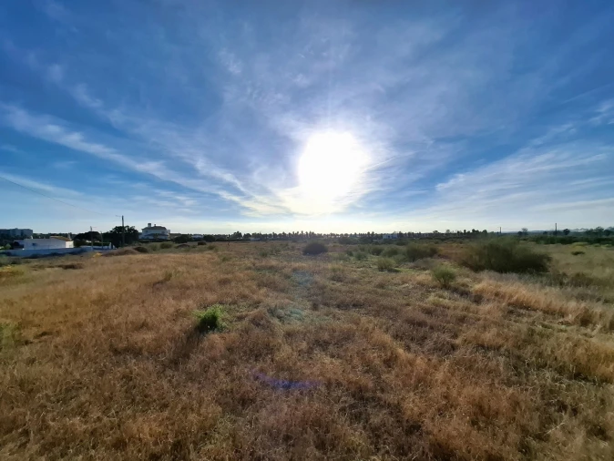 Terreno Agricola ou Rústico para Venda em Guia Foto 5