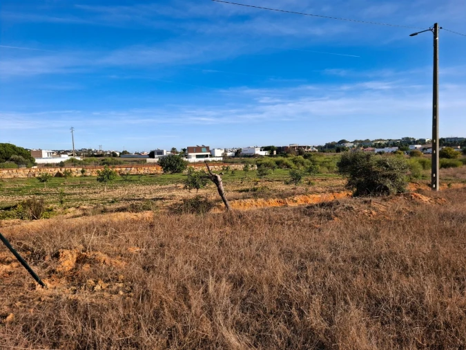 Terreno Agricola ou Rústico para Venda em Guia Foto 9