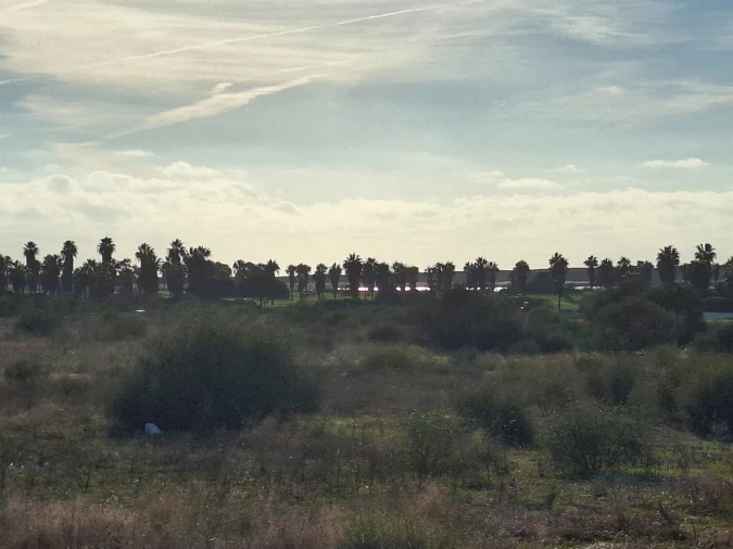Terreno Agricola ou Rústico para Venda em Guia