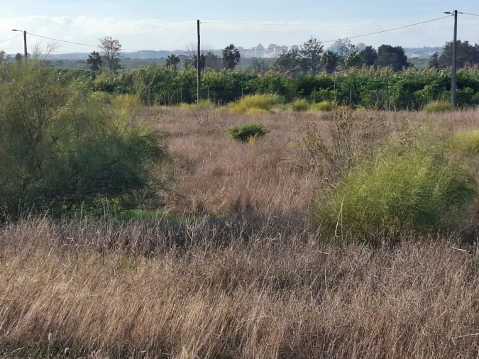 Terreno Agricola ou Rústico para Venda em Guia Foto 7