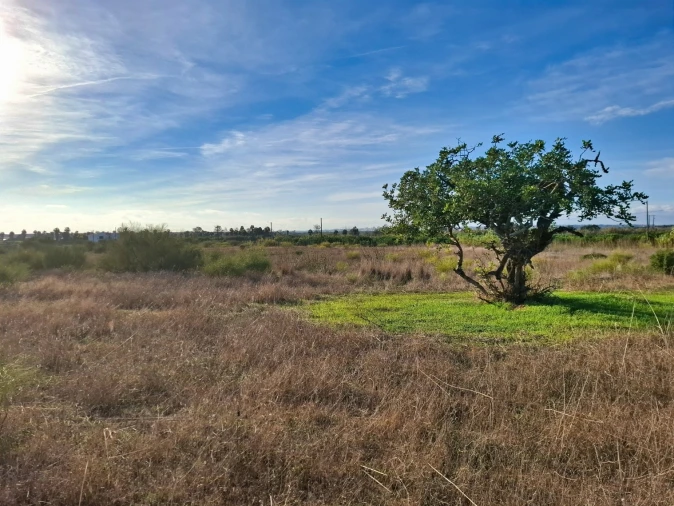 Terreno Agricola ou Rústico para Venda em Guia Foto 4