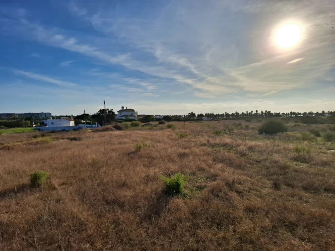 Terreno Agricola ou Rústico para Venda em Guia Foto 6