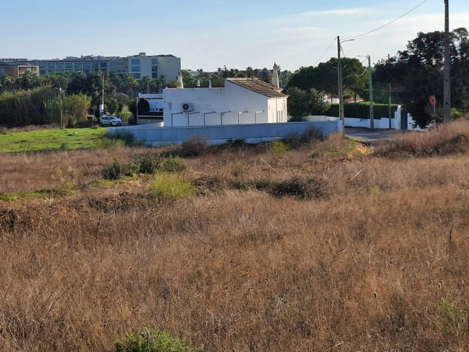 Terreno Agricola ou Rústico para Venda em Guia Foto 8