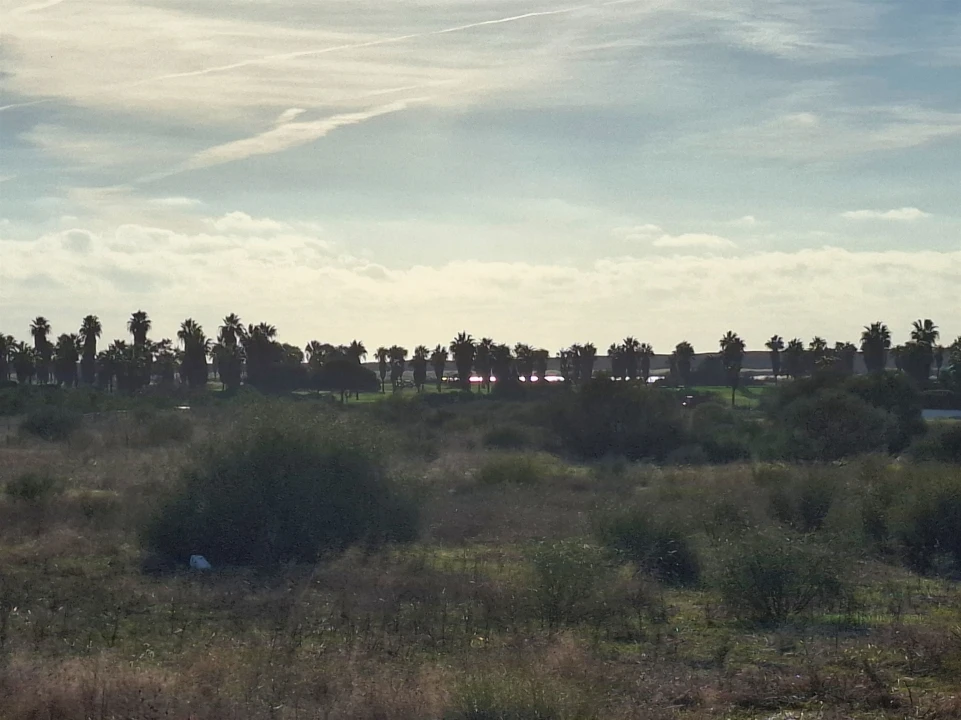 Terreno Agricola ou Rústico para Venda em Guia Foto 1