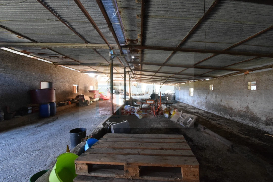 Quinta T3 para Venda em Covilhã e Canhoso Foto 55