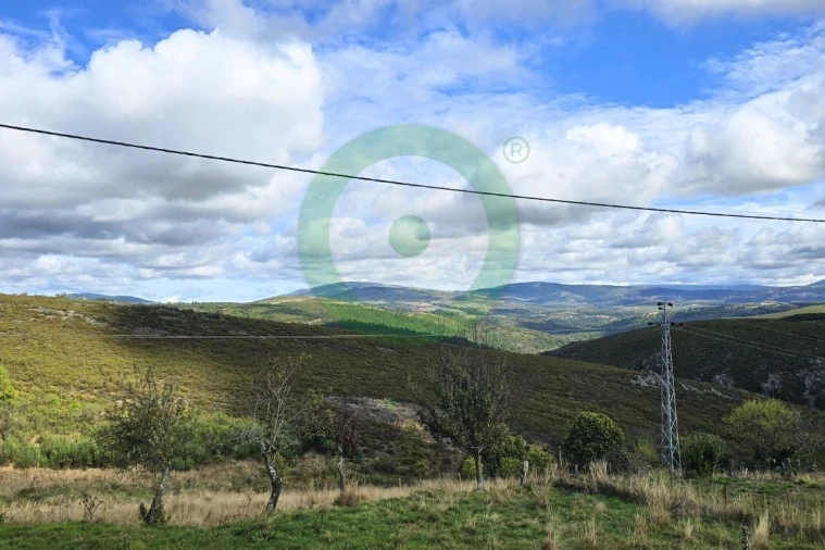 Moradia T3 para Venda em Moimenta e Montouto Foto 11