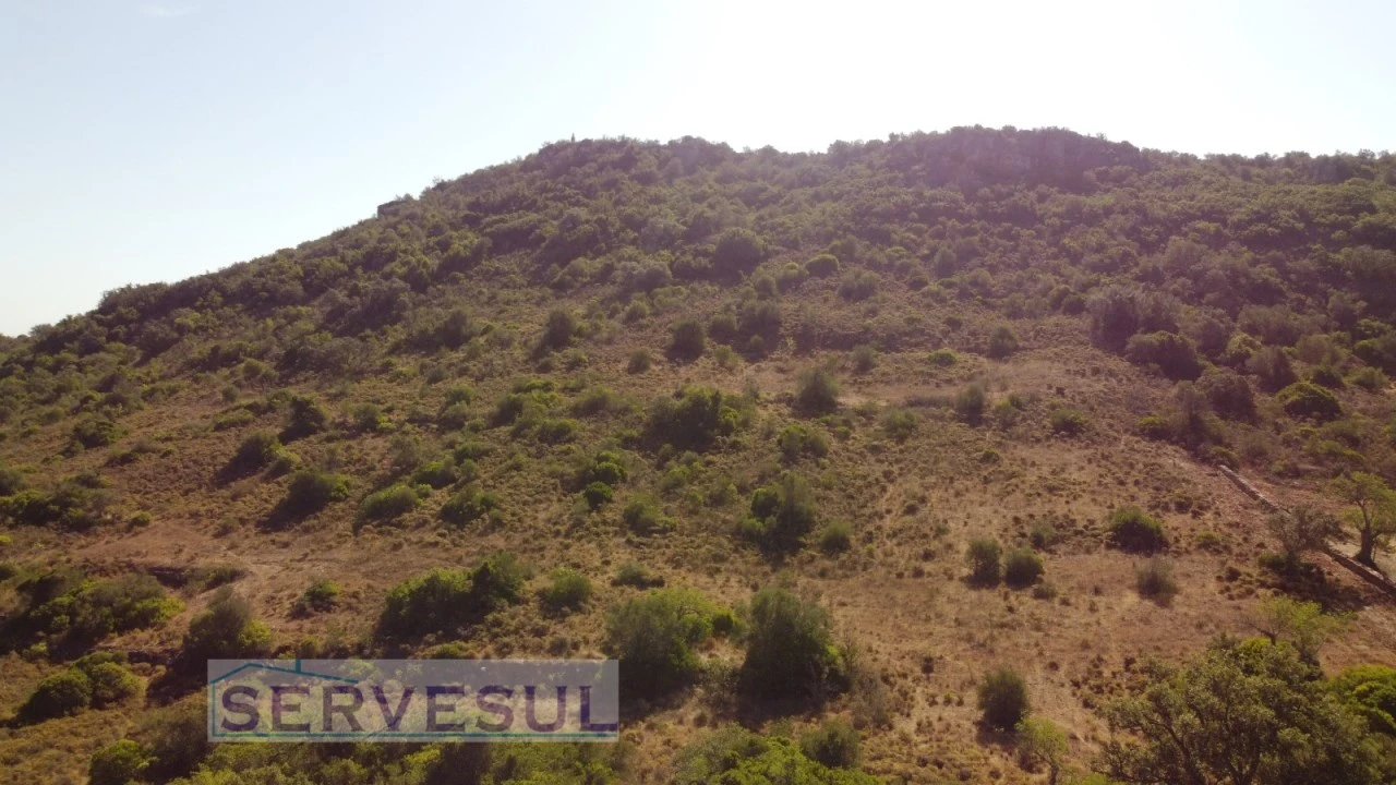 Terreno Agricola ou Rústico para Venda em São Bartolomeu de Messines Foto 3