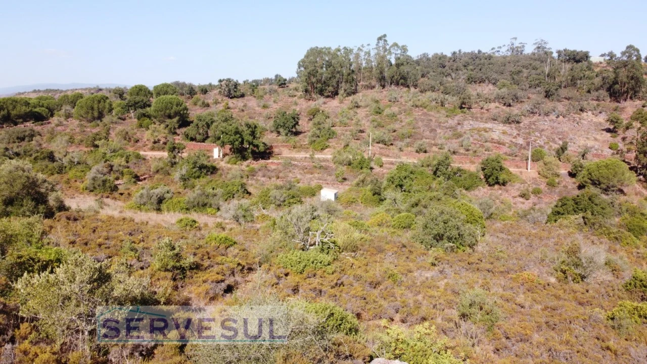 Terreno Agricola ou Rústico para Venda em São Bartolomeu de Messines Foto 10