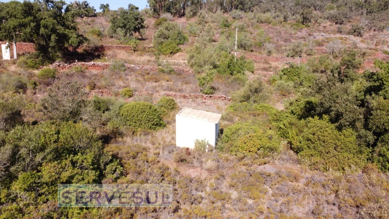 Terreno Agricola ou Rústico para Venda em São Bartolomeu de Messines Foto 11