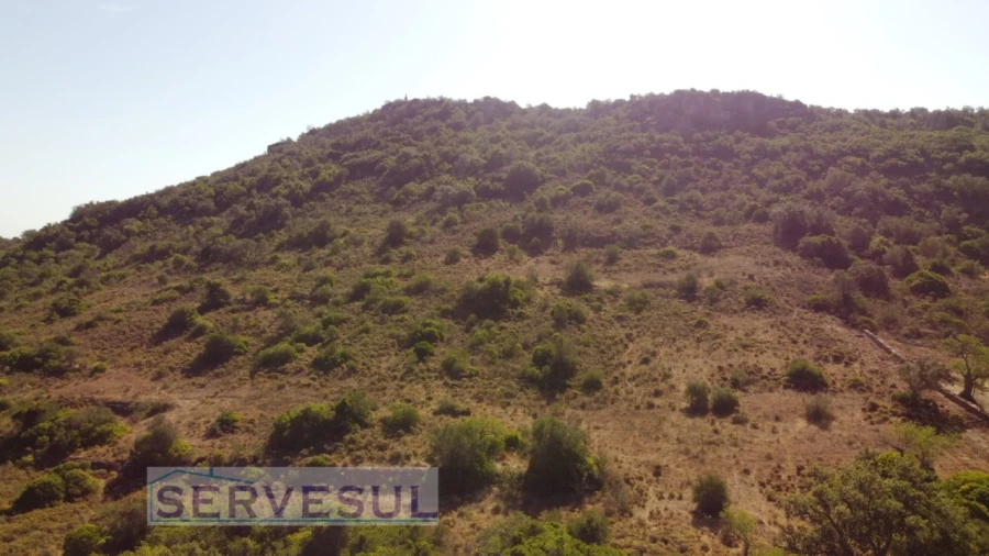 Terreno Agricola ou Rústico para Venda em São Bartolomeu de Messines Foto 3