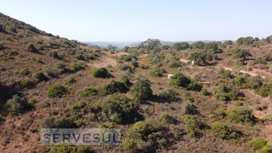 Terreno Agricola ou Rústico para Venda em São Bartolomeu de Messines Foto 7