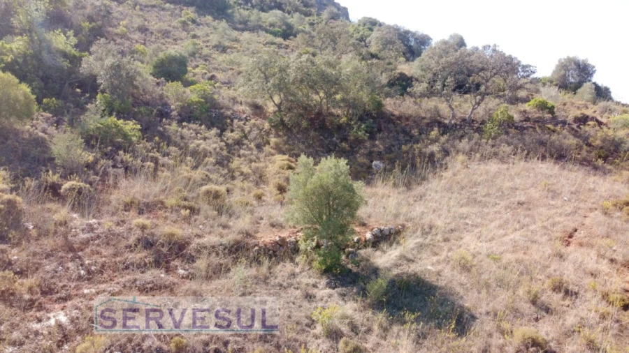 Terreno Agricola ou Rústico para Venda em São Bartolomeu de Messines Foto 9