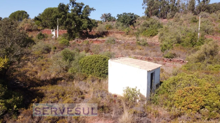 Terreno Agricola ou Rústico para Venda em São Bartolomeu de Messines Foto 12