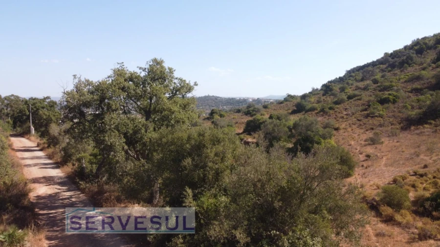 Terreno Agricola ou Rústico para Venda em São Bartolomeu de Messines Foto 13