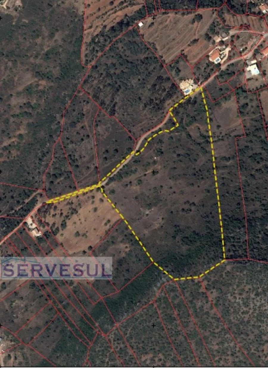 Terreno Agricola ou Rústico para Venda em São Bartolomeu de Messines Foto 14