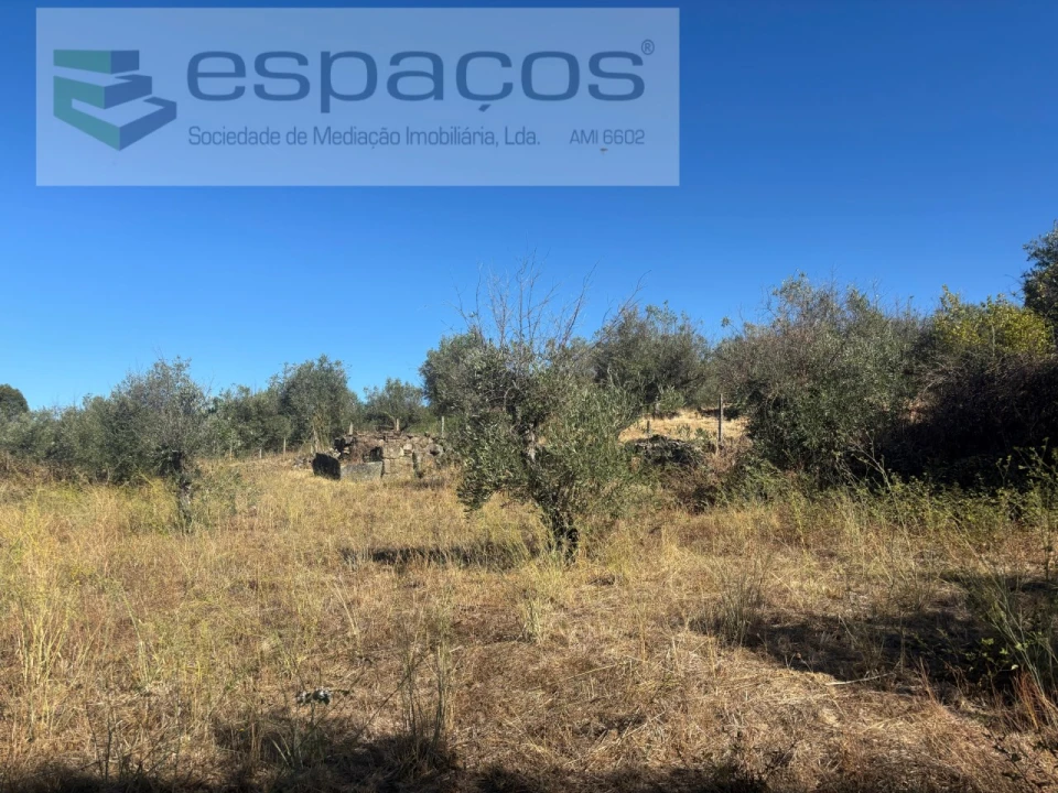 Moradia T3 para Venda em Salgueiro do Campo Foto 6