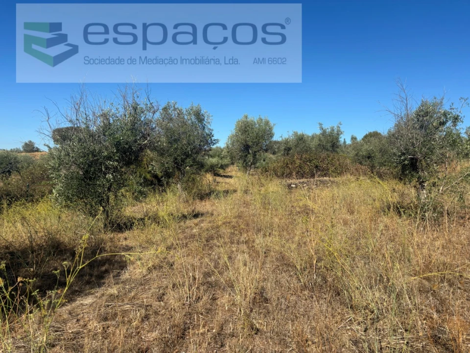 Moradia T3 para Venda em Salgueiro do Campo Foto 7