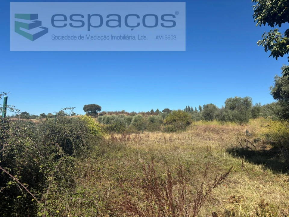 Moradia T3 para Venda em Salgueiro do Campo Foto 15