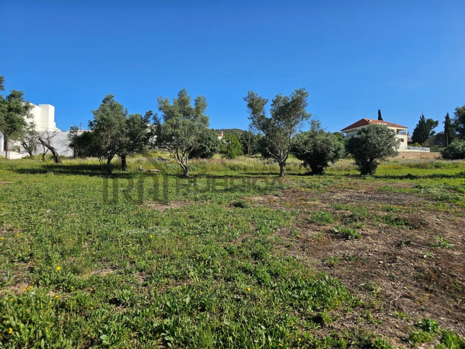 Terreno para Venda em Santa Barbara de Nexe Foto 10