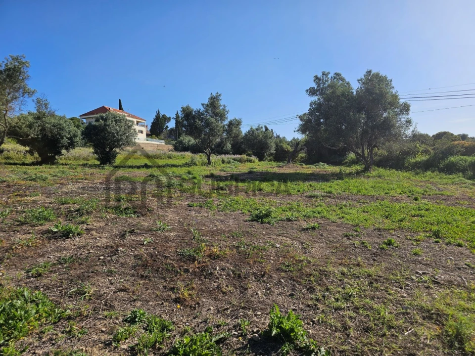 Terreno para Venda em Santa Barbara de Nexe Foto 11