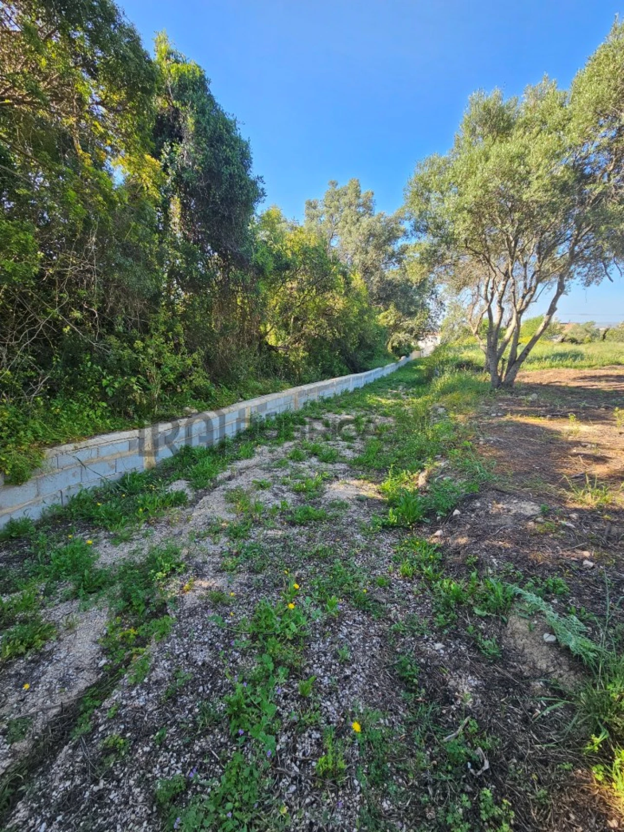 Terreno para Venda em Santa Barbara de Nexe Foto 12