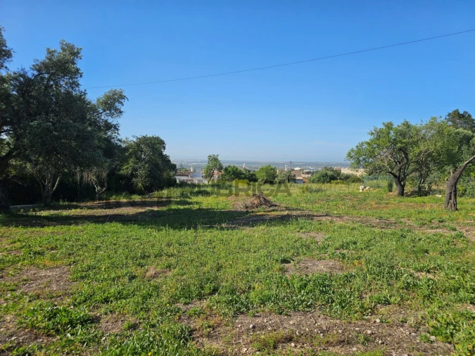 Terreno para Venda em Santa Barbara de Nexe Foto 3