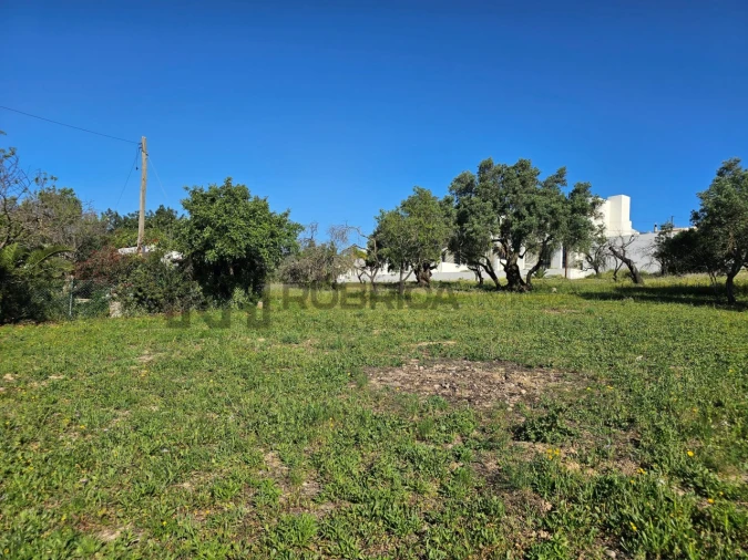 Terreno para Venda em Santa Barbara de Nexe Foto 8