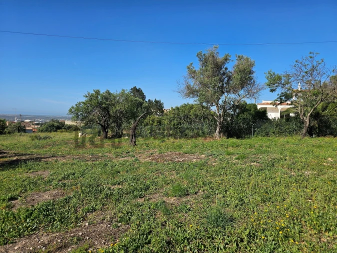 Terreno para Venda em Santa Barbara de Nexe Foto 9
